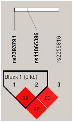 Fruit and Vegetable Consumption Interacts With HNF1A Variants on the C-Reactive Protein